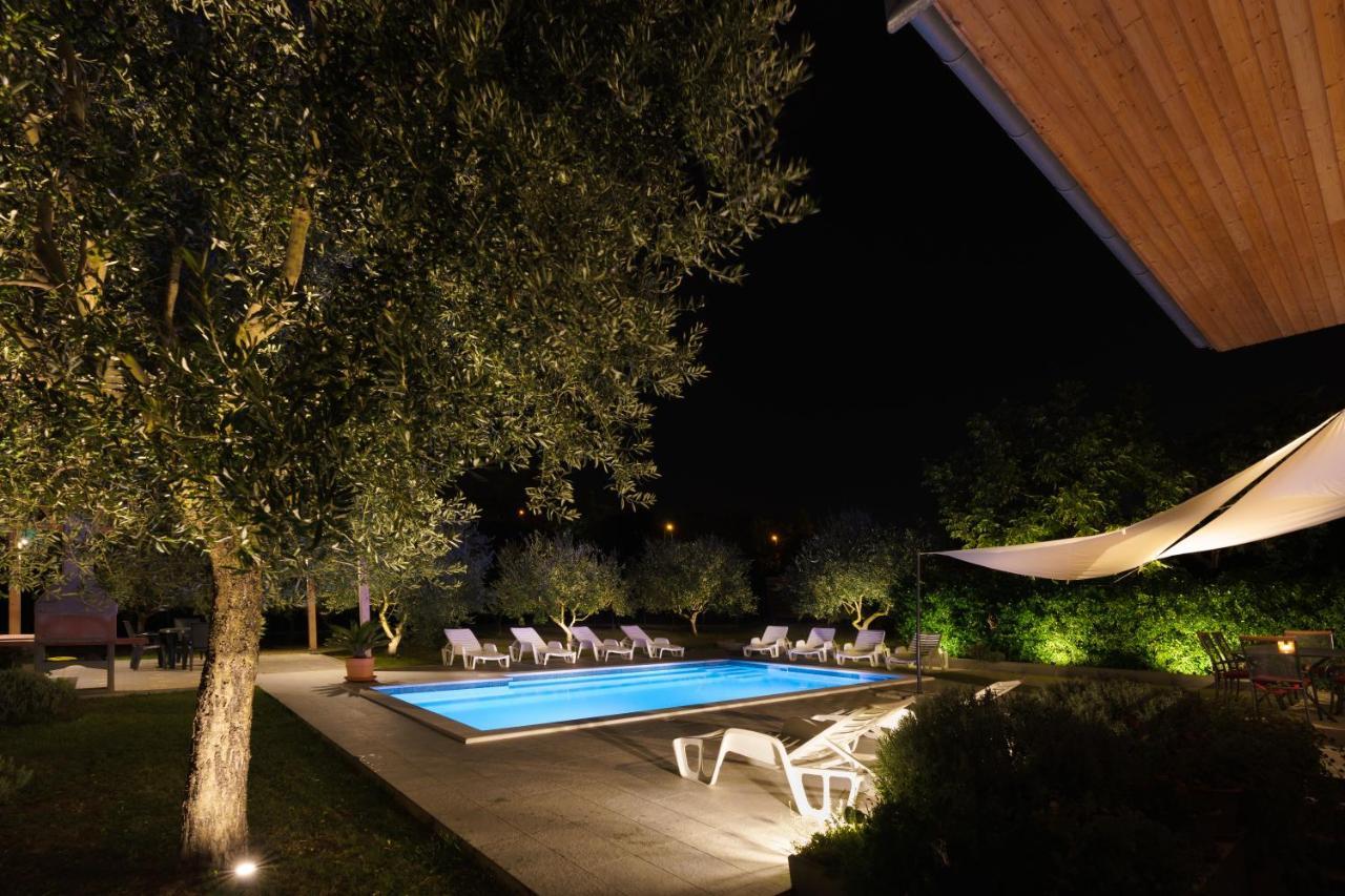 Apartments Colak زادار المظهر الخارجي الصورة
